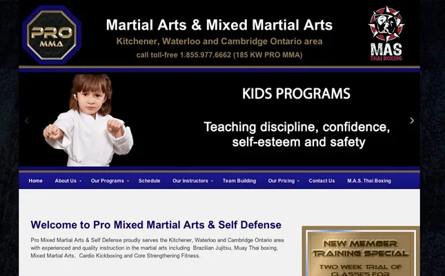 Pro Martial Arts project screenshot