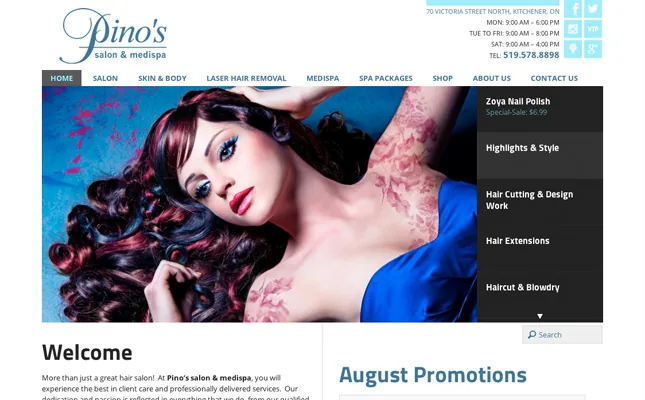 Pino Salon Website Re-design 2013 project screenshot